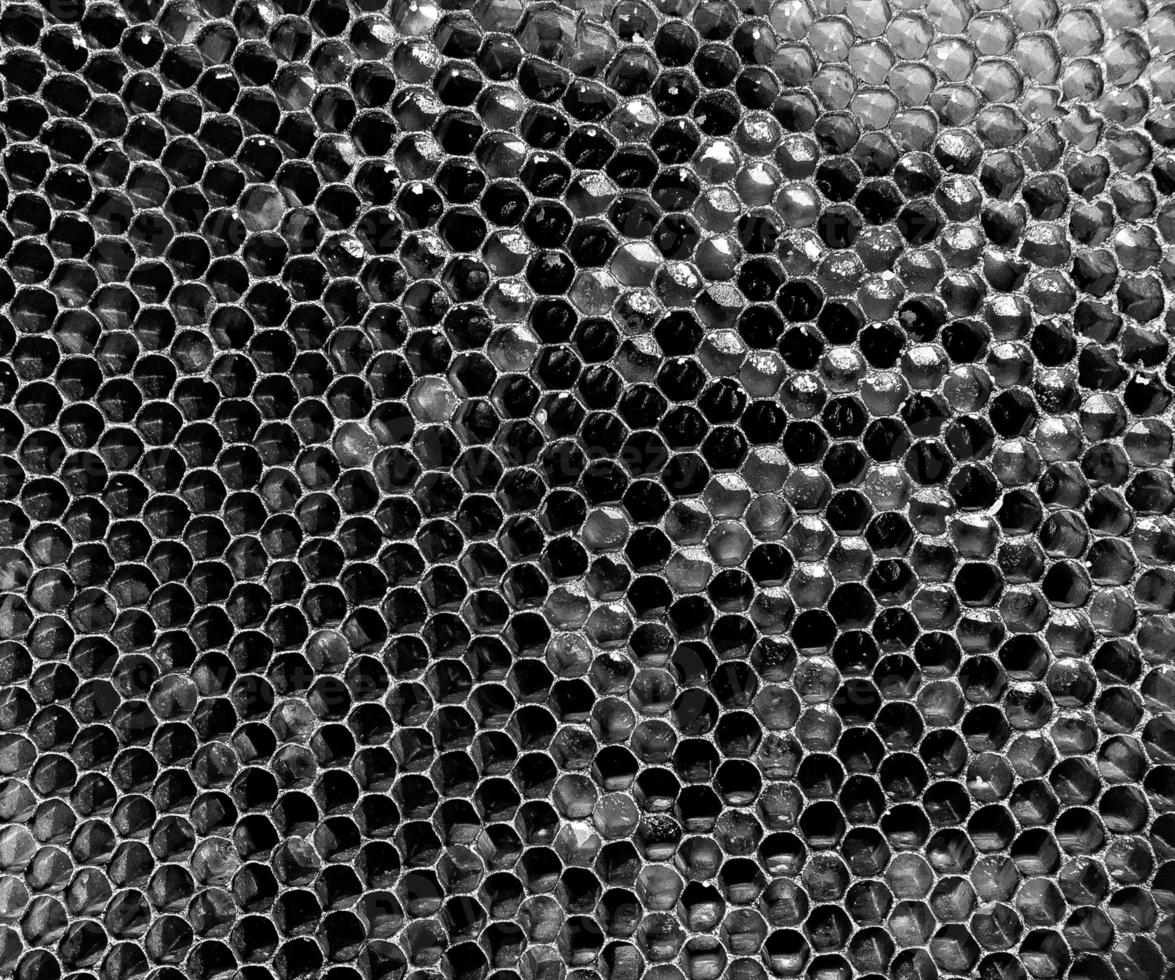 Abstract hexagon structure is honeycomb from bee hive photo