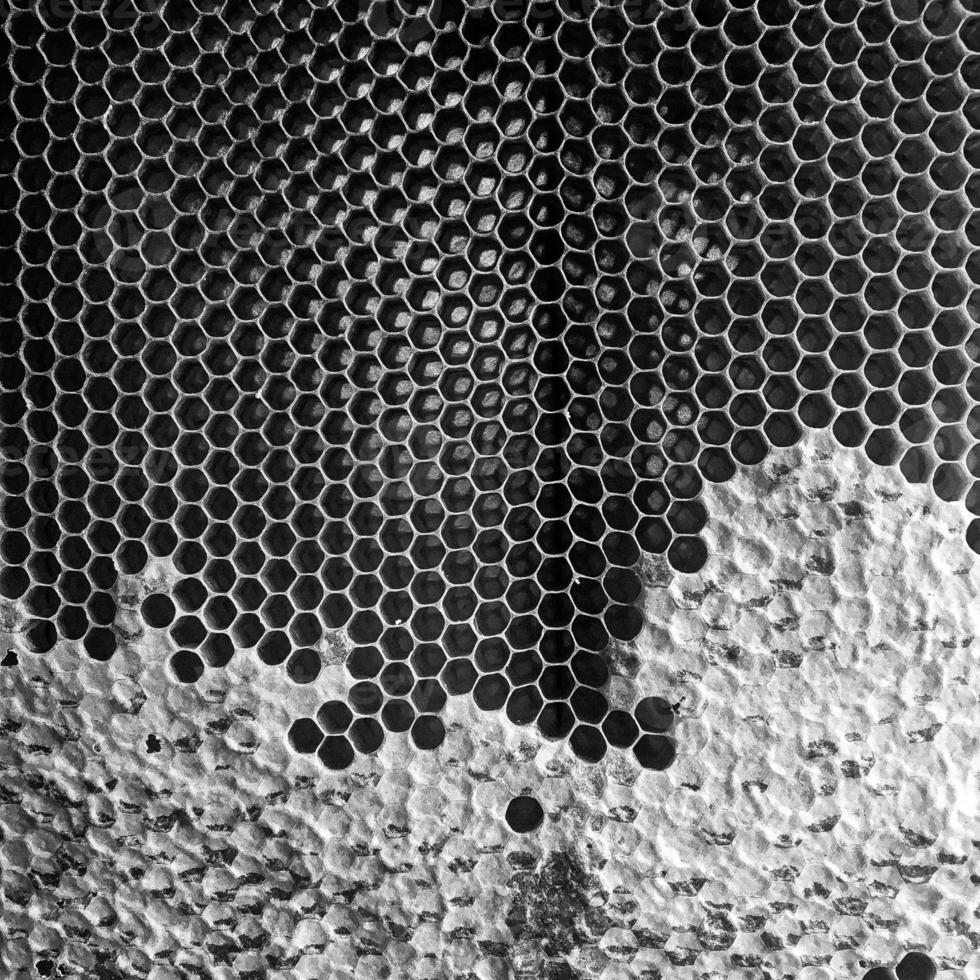 La estructura hexagonal abstracta es un panal de abejas de la colmena. foto