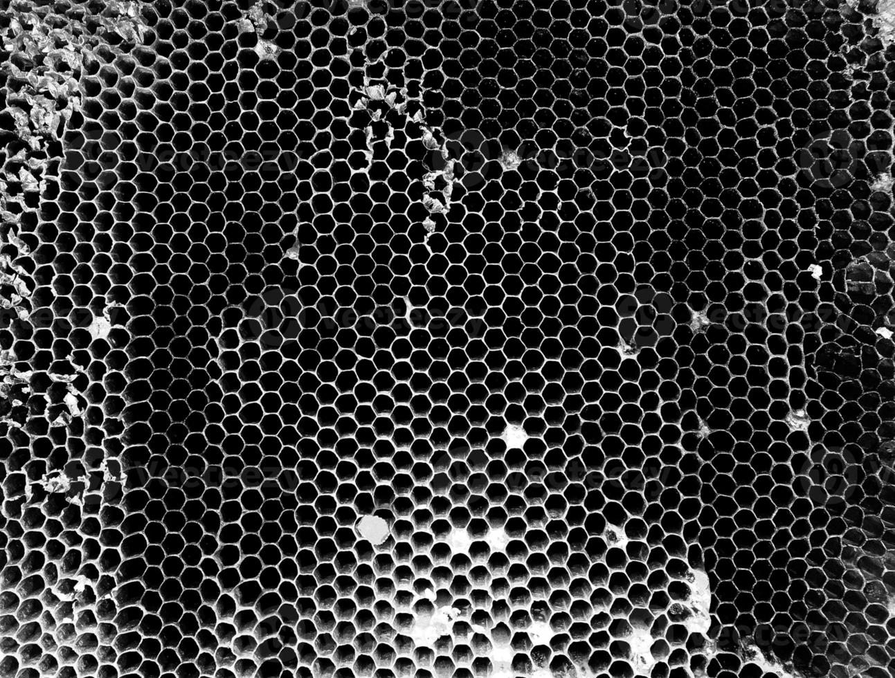 La estructura hexagonal abstracta es un panal de abejas de la colmena. foto