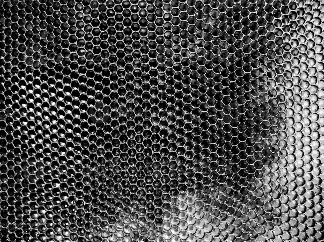 Abstract hexagon structure is honeycomb from bee hive photo