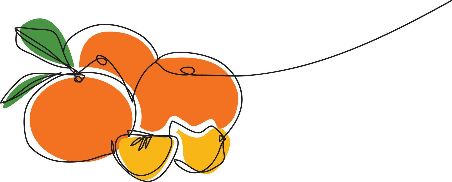 ilustración vectorial de dibujo de línea naranja. vector