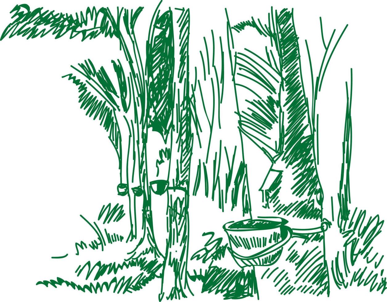 rubber trees line drawing vector illustration.
