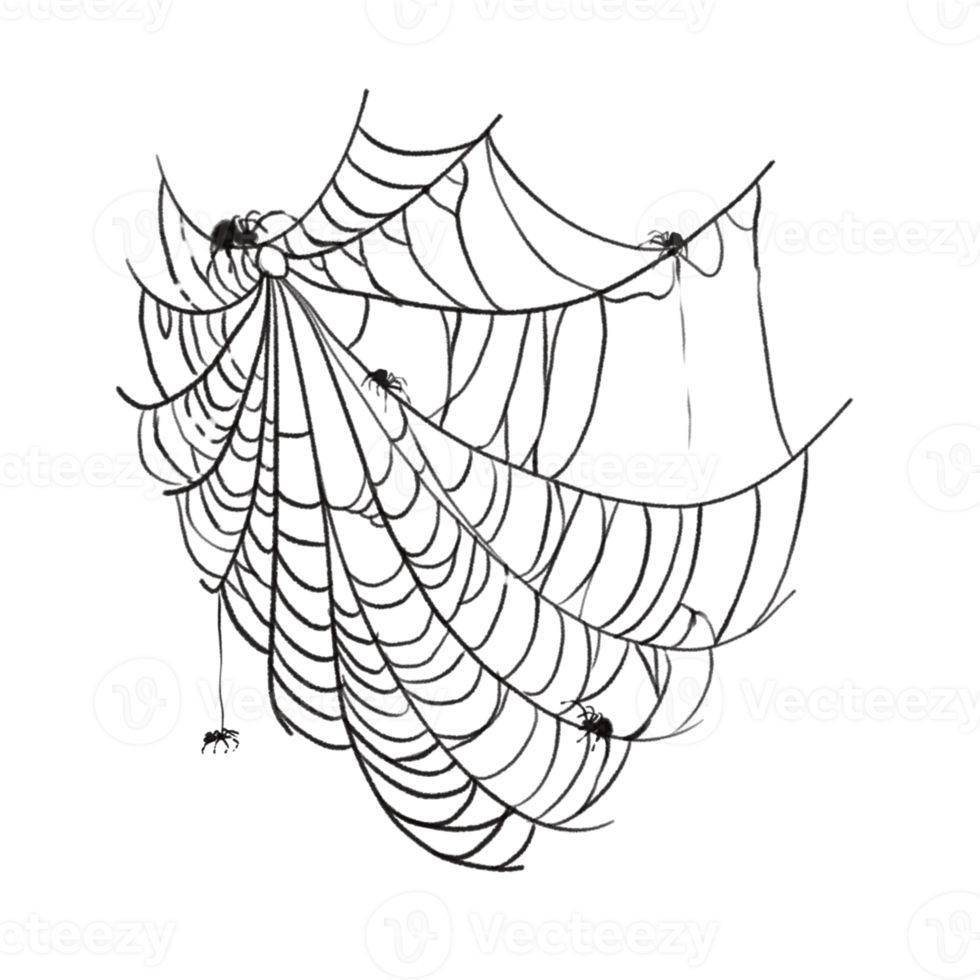 Spider web speech bubble png