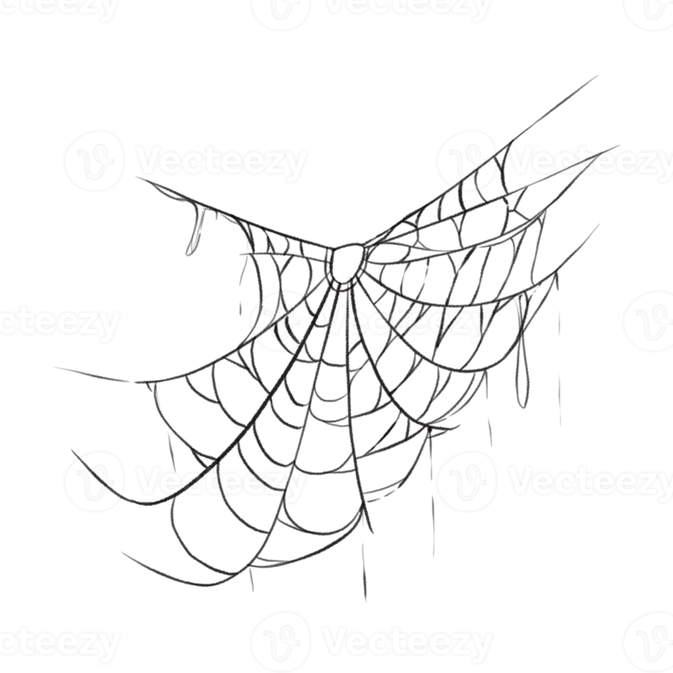 Spider web speech bubble png