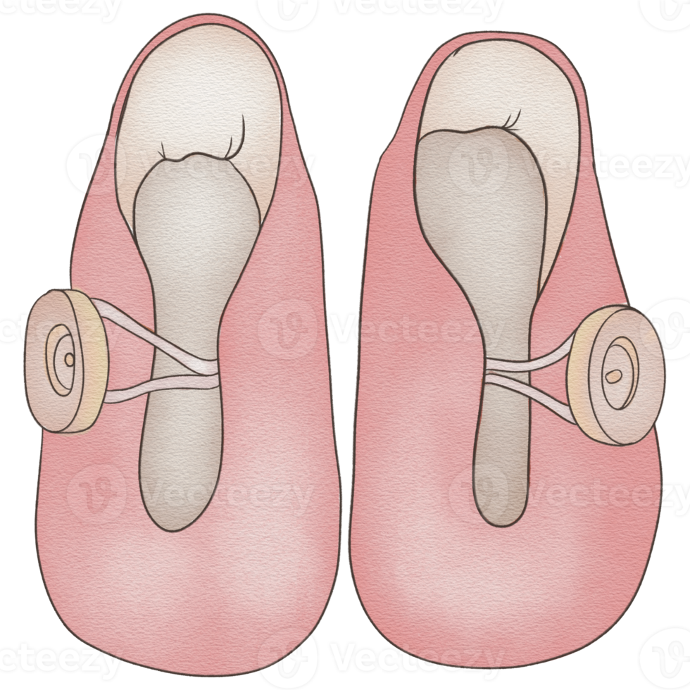 belles chaussures nouveau-né aquarelle png