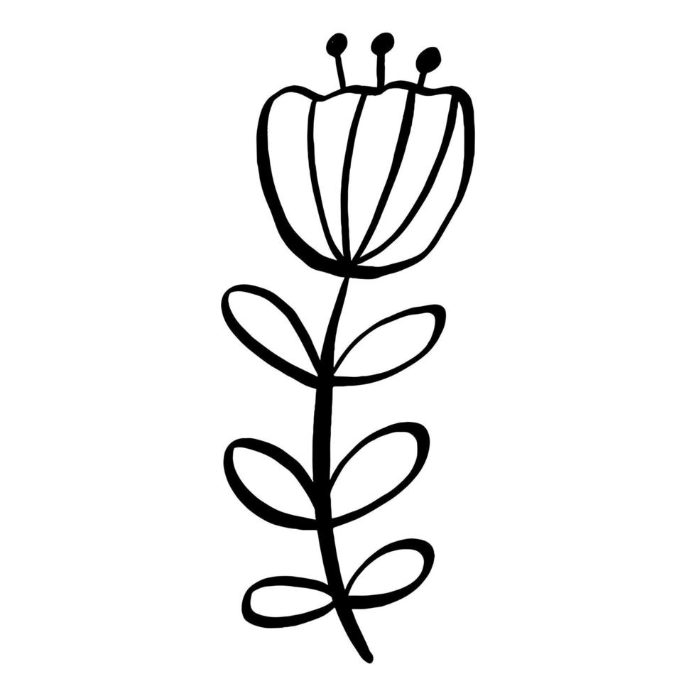 Black line doodle flower leaves on white background. Vector illustration about nature.