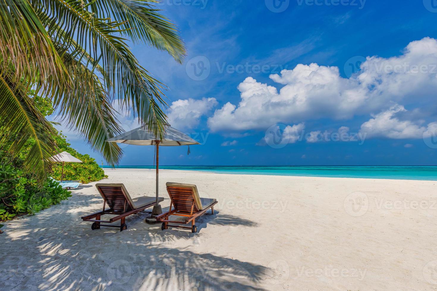 Beautiful tropical beach banner. White sand and coco palms travel tourism wide panorama background concept. Amazing beach landscape. Boost up color process. Luxury island resort vacation or holiday photo