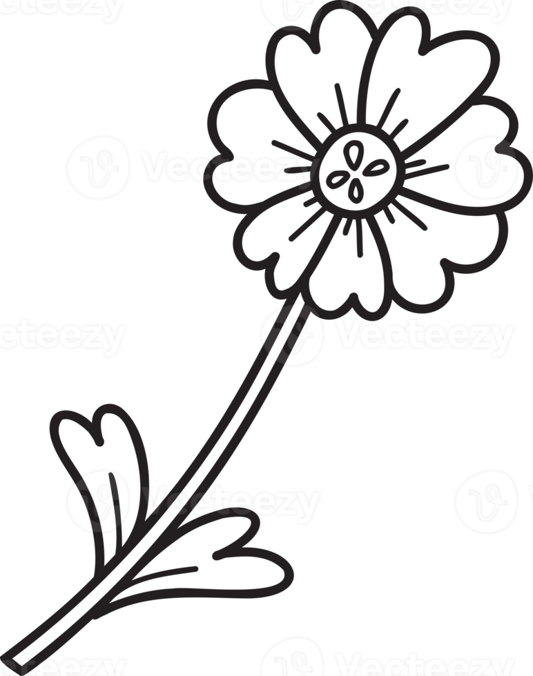 Hand Drawn cute flowers illustration png