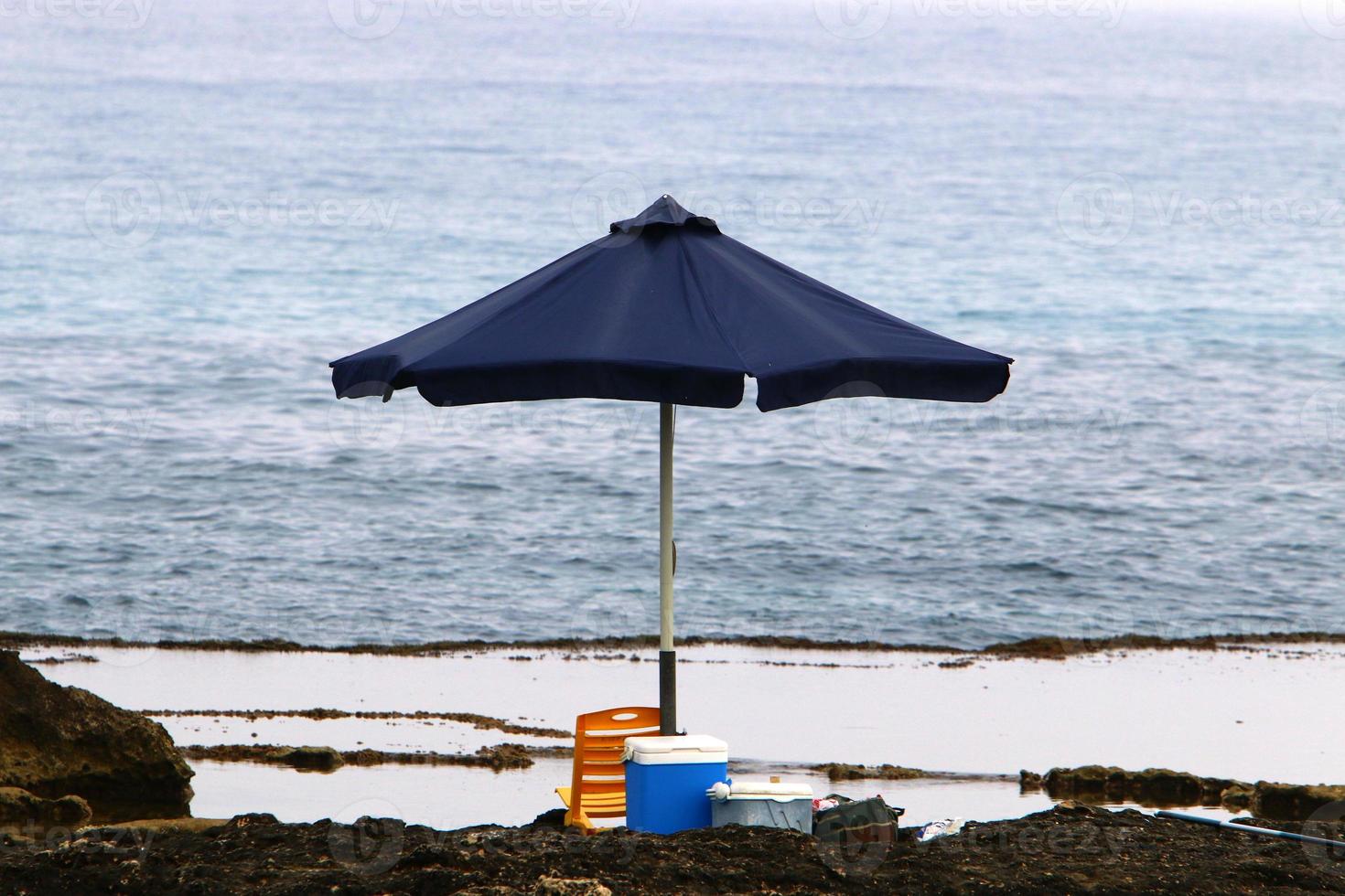 Umbrella in the city park near the sea. photo