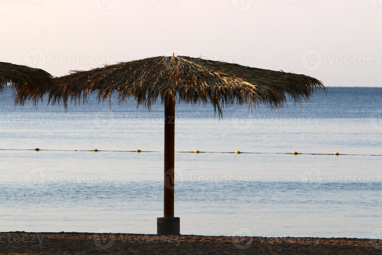 paraguas en el parque de la ciudad cerca del mar. foto