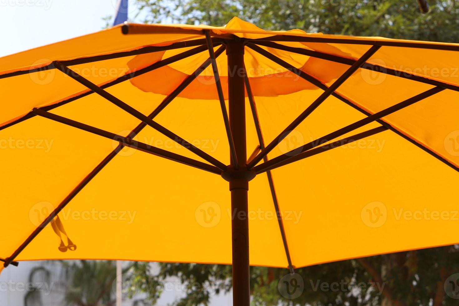 Umbrella in the city park near the sea. photo