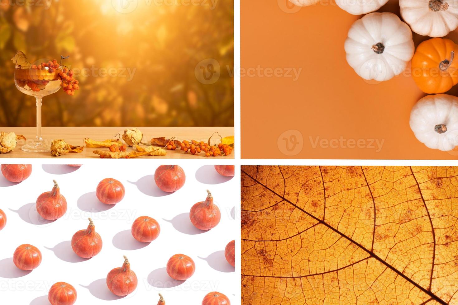 Autumn collage with shades of orange. Fall concept photo