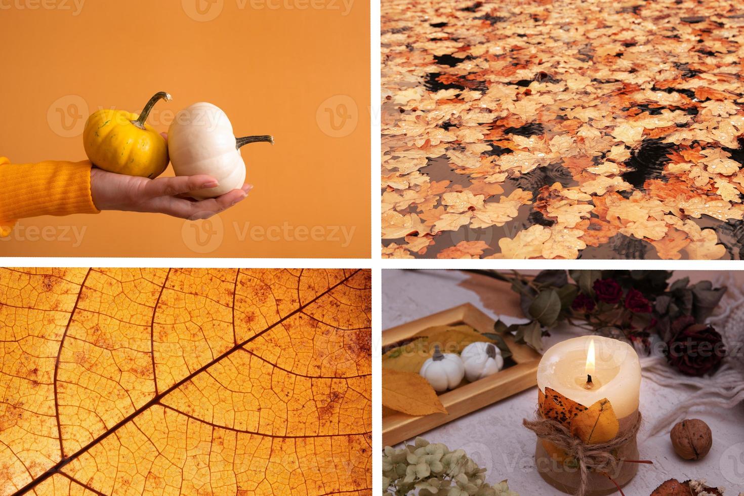 Autumn collage with shades of orange. Fall concept photo