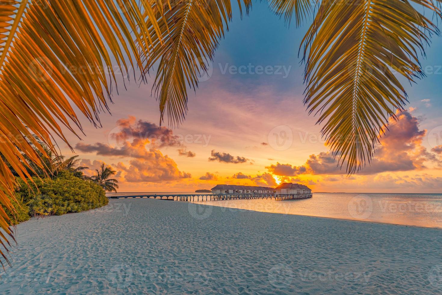 tranquila puesta de sol en la playa en maldivas. isla de playa paraíso, fondo para viajes de verano y paisaje costero de vacaciones. hojas de palmeras tropicales mar cielo horizonte sobre arena. increíble patrón de naturaleza tropical foto