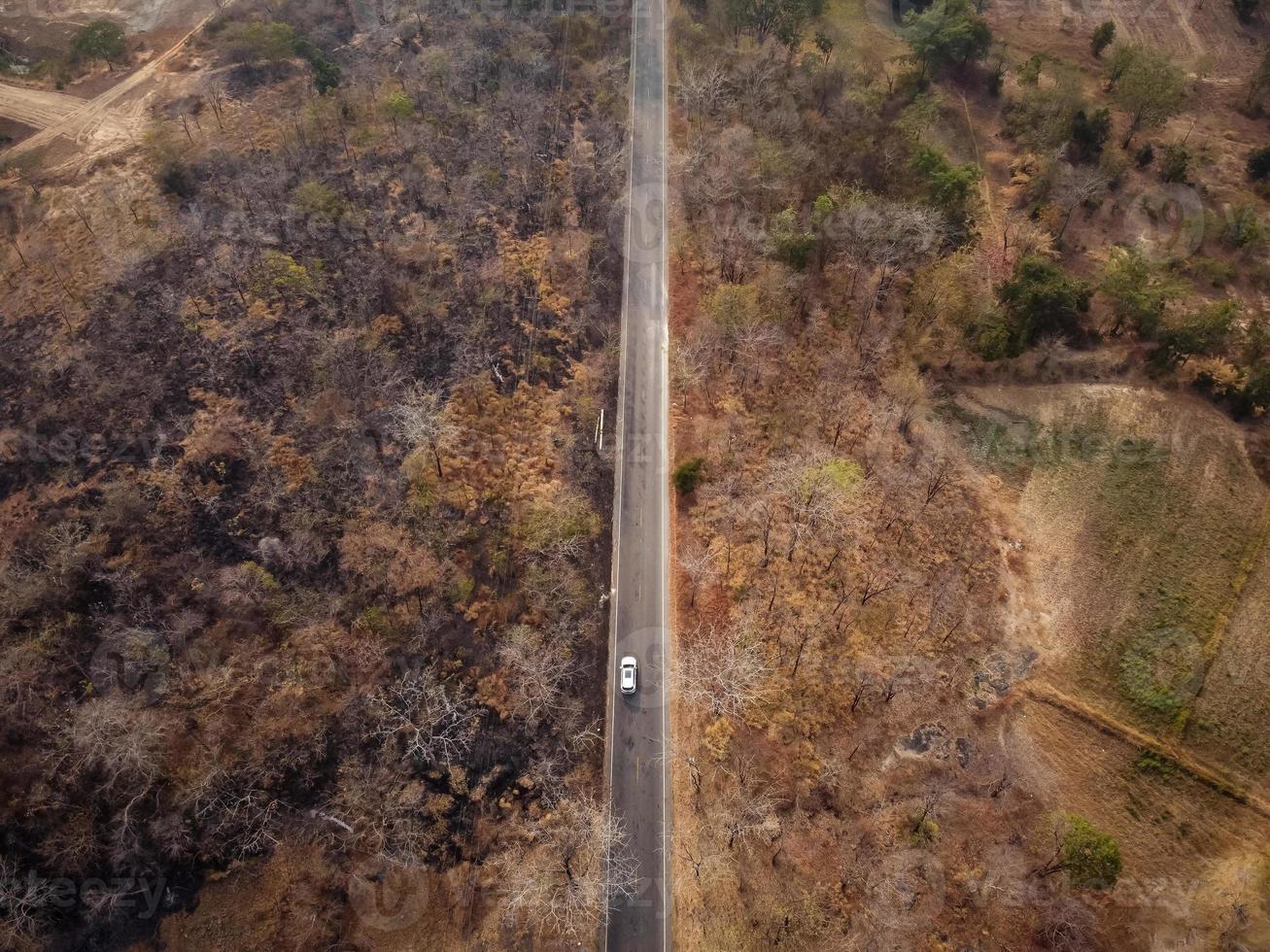 vista aérea, el camino pasa a través de un bosque seco de color amarillo anaranjado. algunas partes fueron destruidas por un incendio forestal. foto