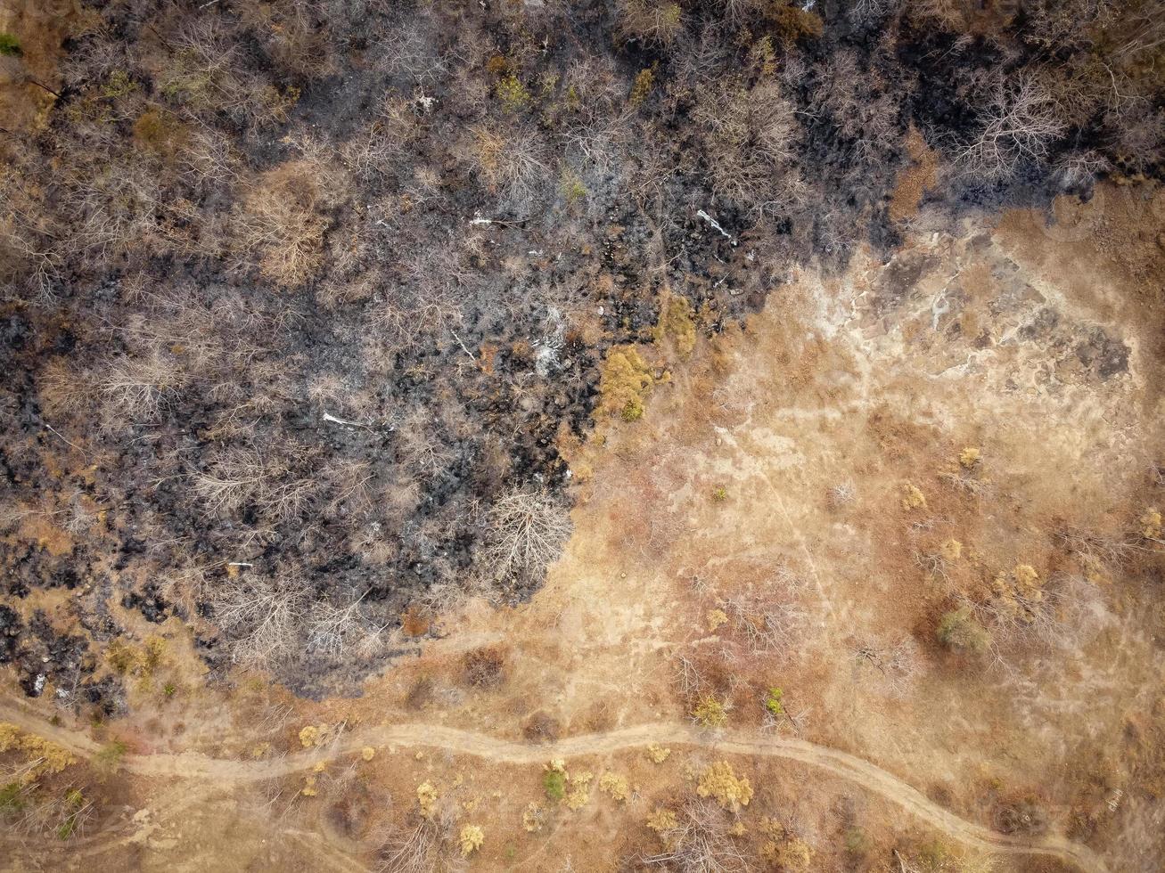 Aerial view, Orange and yellow dry forest, Some parts were destroyed by a forest fire. photo