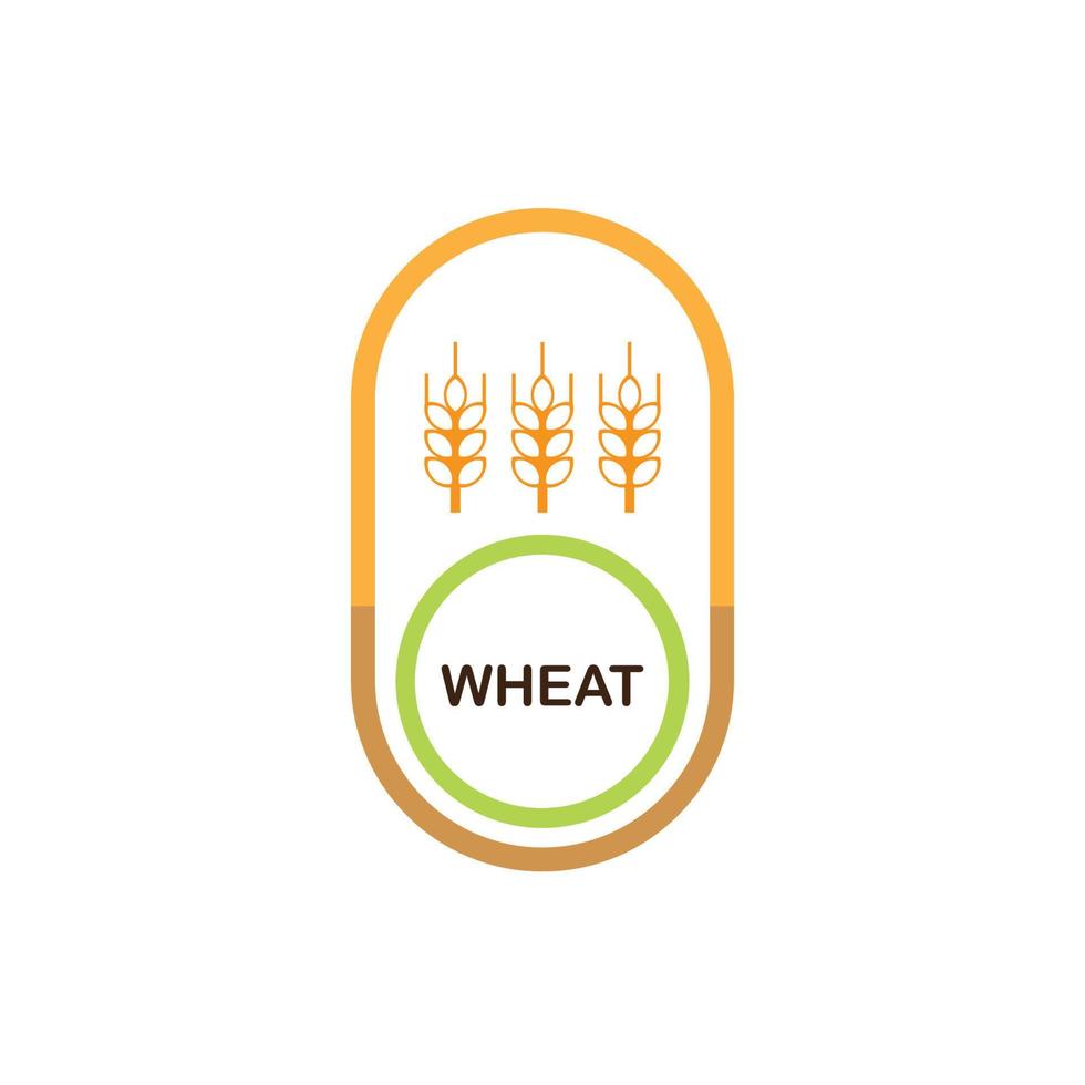 wheat logo design vector