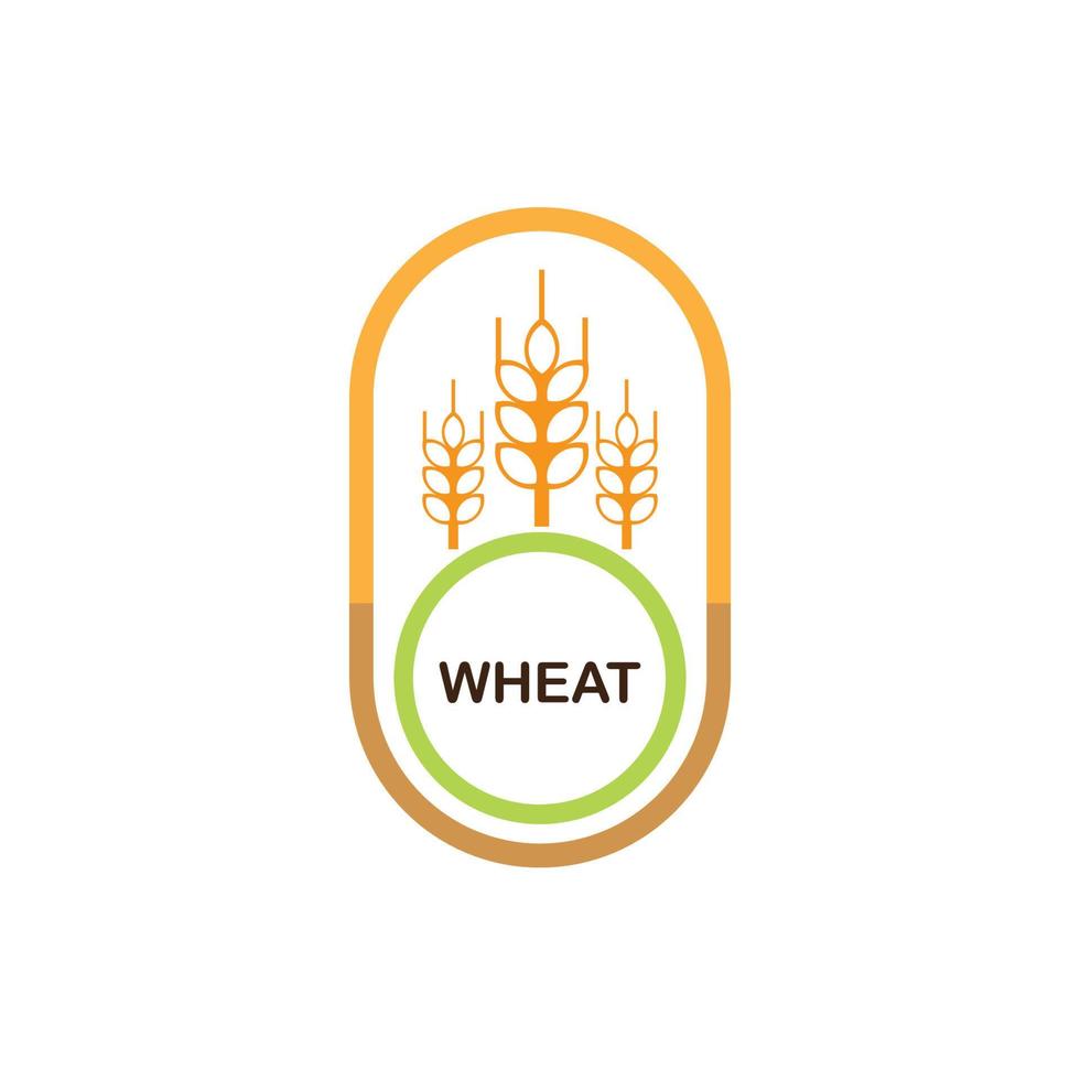 wheat logo design vector