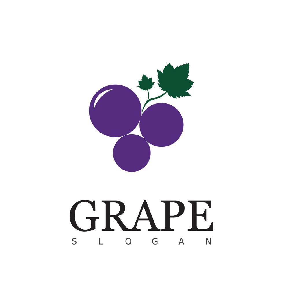 grape logo design symbol vector