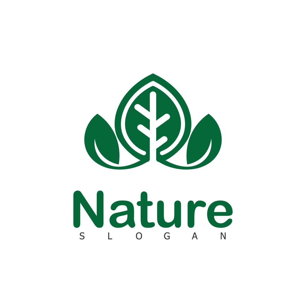 naturaleza hoja logo verde vector