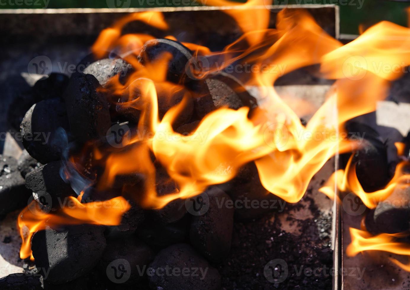 grilled meat from the charcoal grill photo