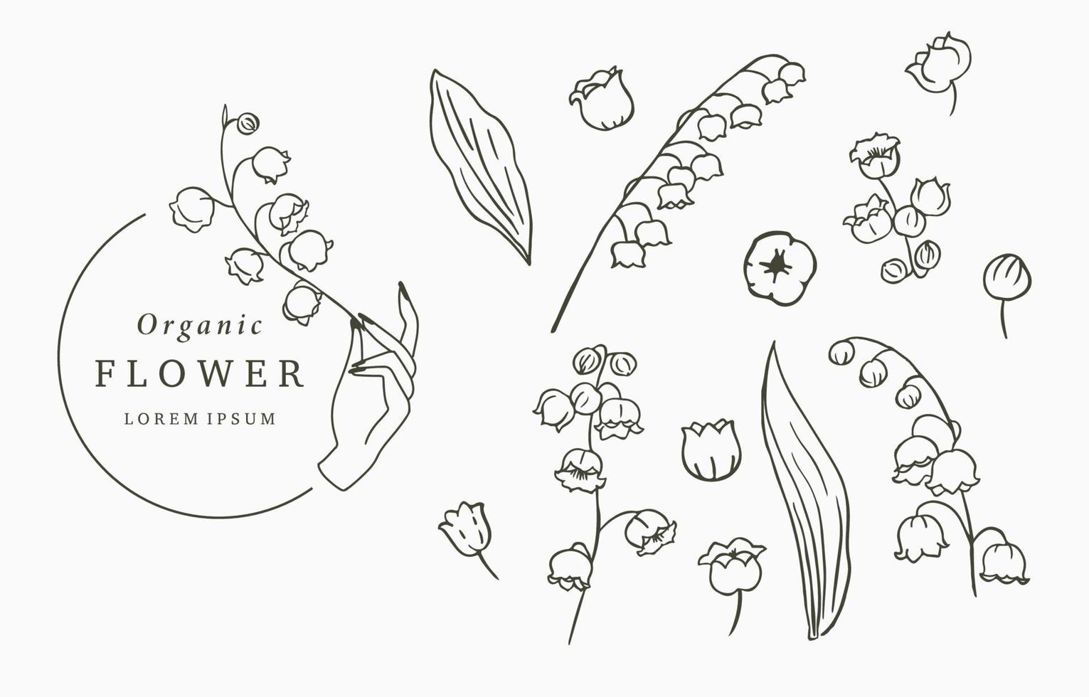 Black line flower collection with lily of the vallay on white background vector