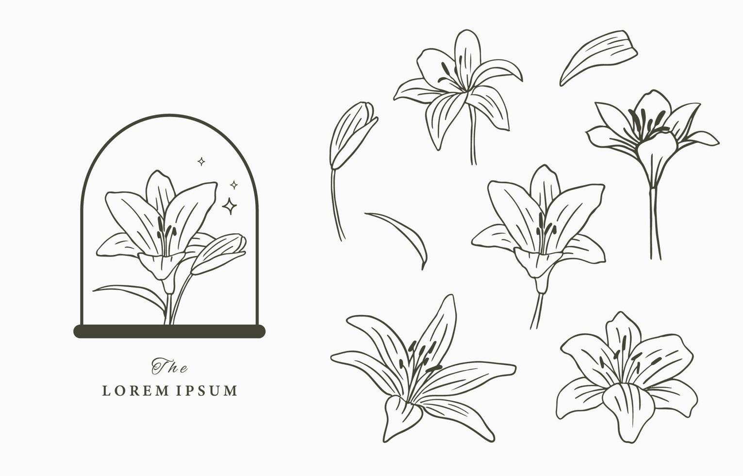 Beauty occult icon collection with hand,geometric,flower vector
