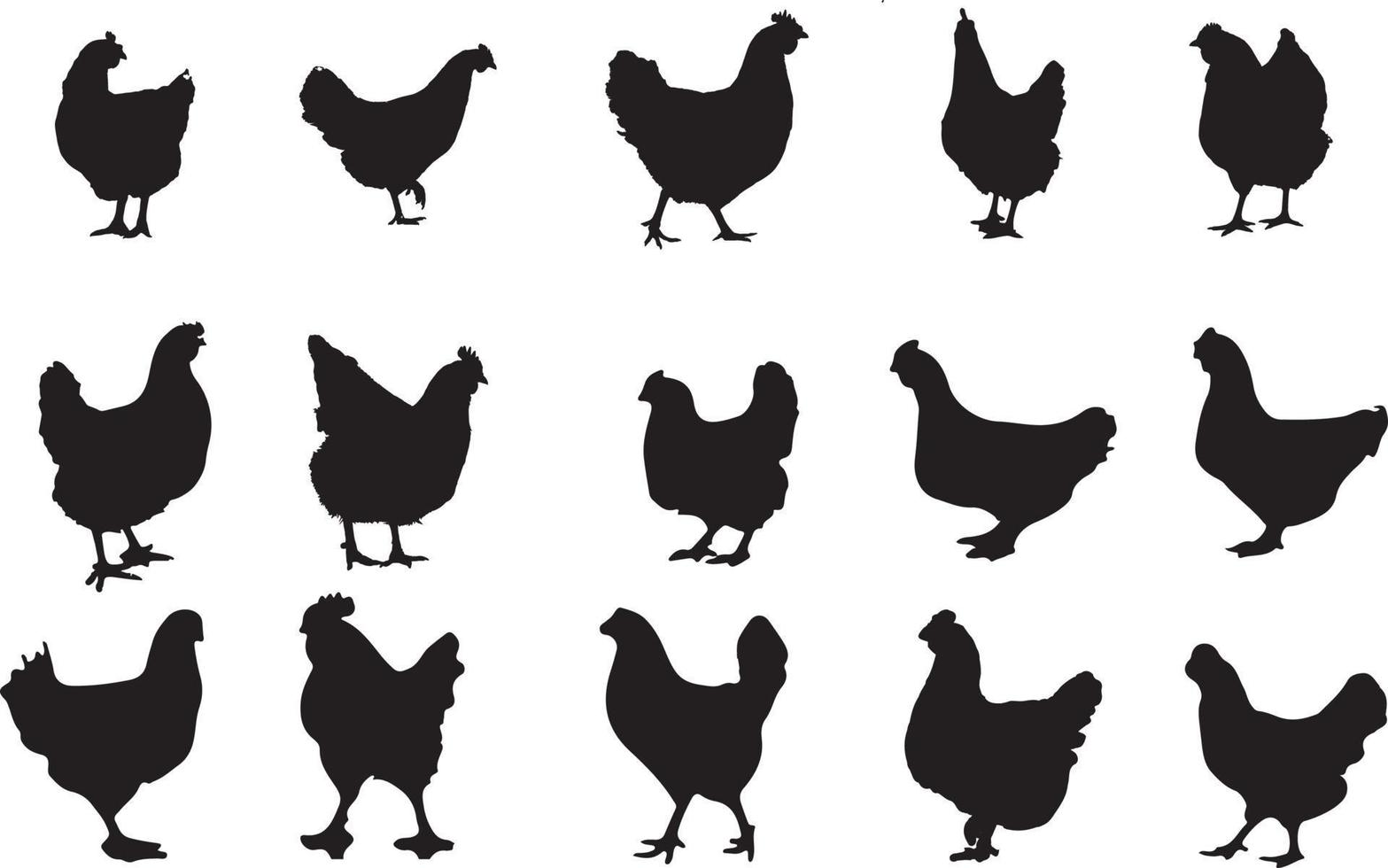 el conjunto de colección de silueta de gallina vector