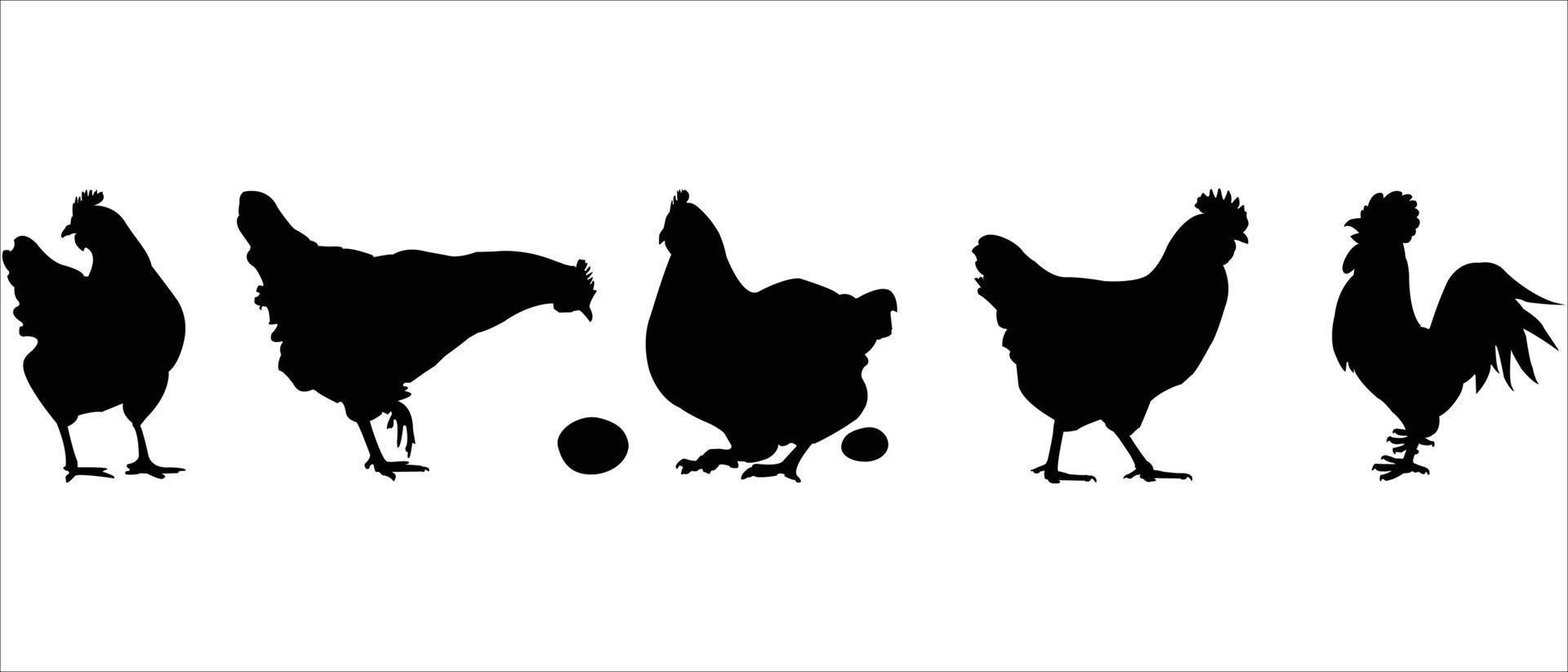 Hen silhouette collection vector