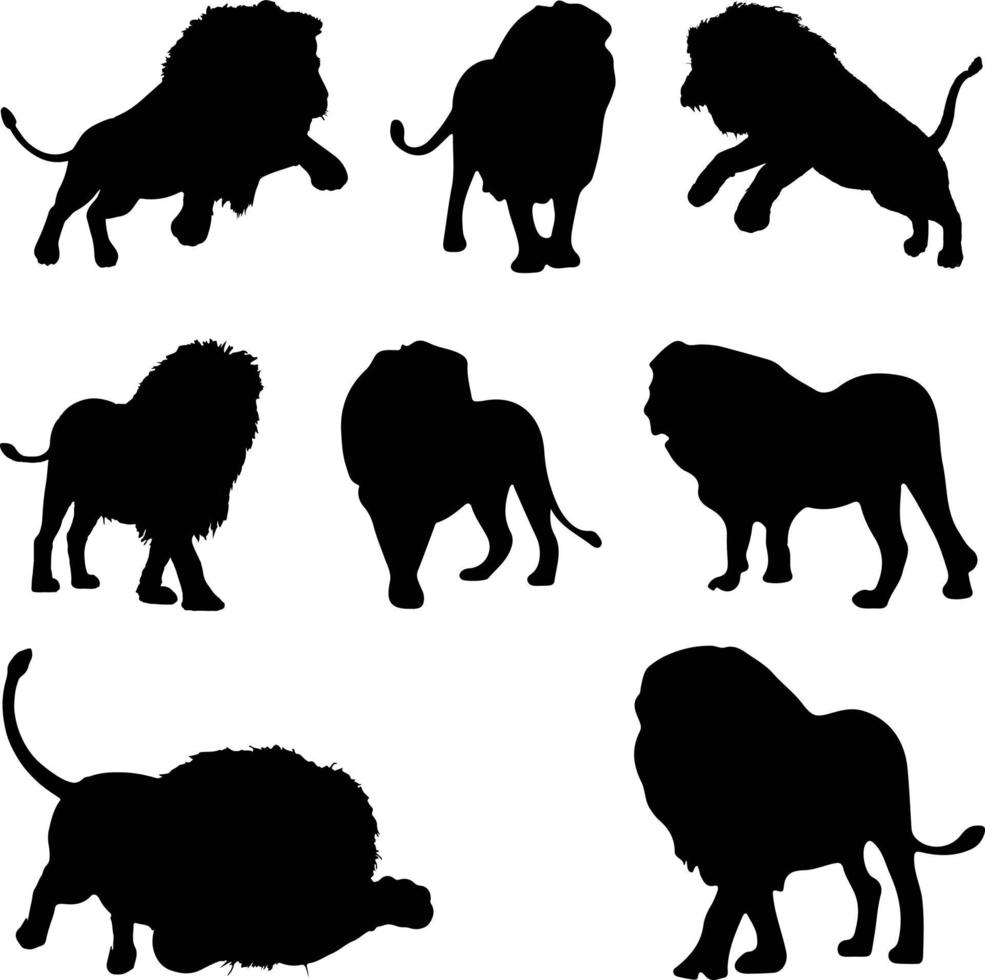 The set of Lion Silhouette collection vector