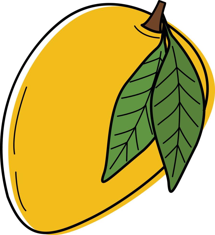 Vector illustration of sweet mango.Mango illustration used for magazines, books, food applications, posters, menu covers, web pages, advertising, marketing, icon, logo.