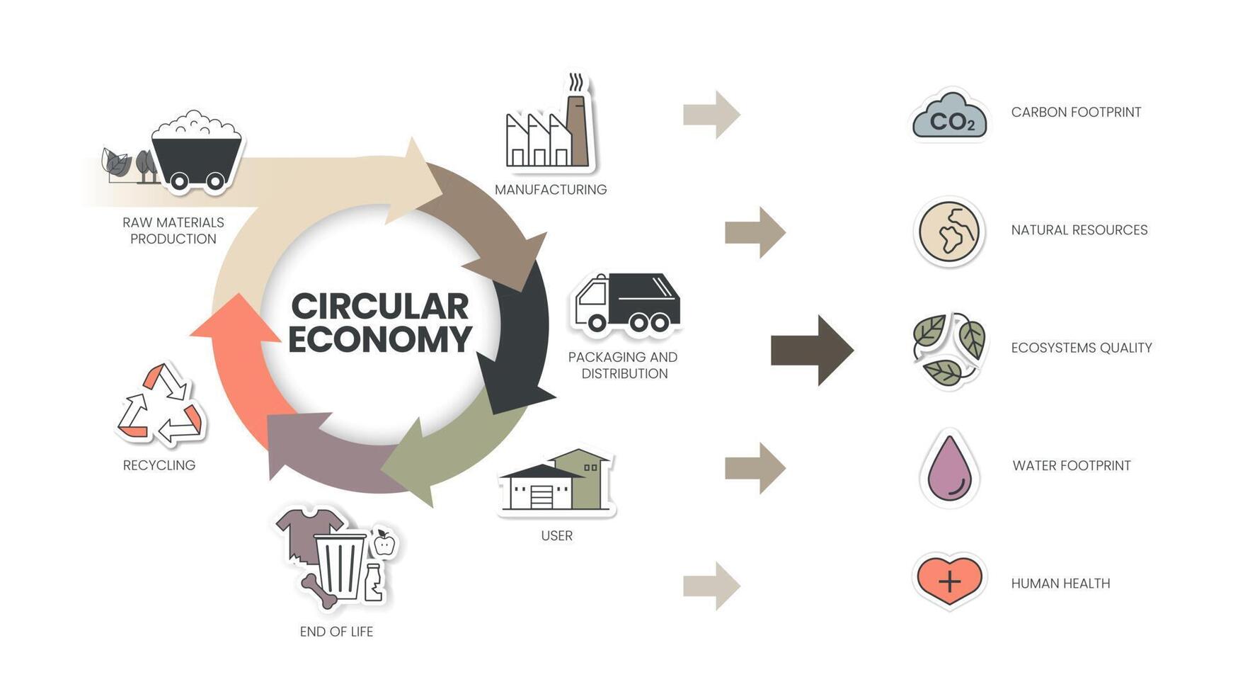 Circular Economy infographic diagram has 6 steps to analyse such as manufacturing, packaging and distribution, user, end of life, recycling and raw material production. Ecology and Environment concept vector