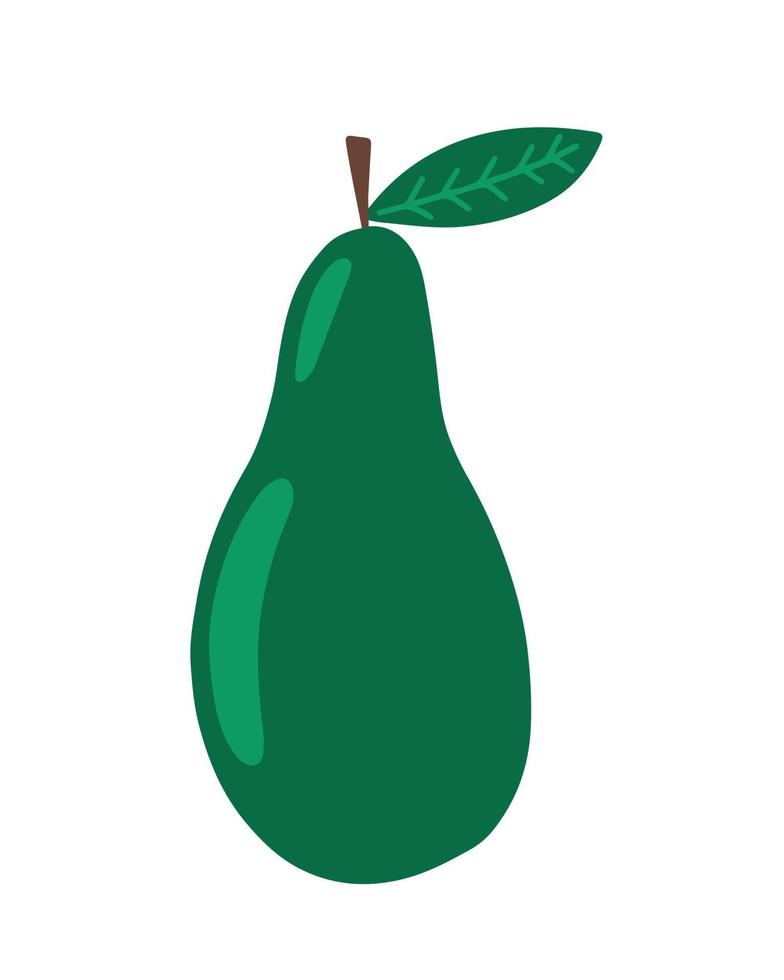 ilustración dibujada a mano de aguacate vectorial. clipart de vector de fruta de aguacate verde
