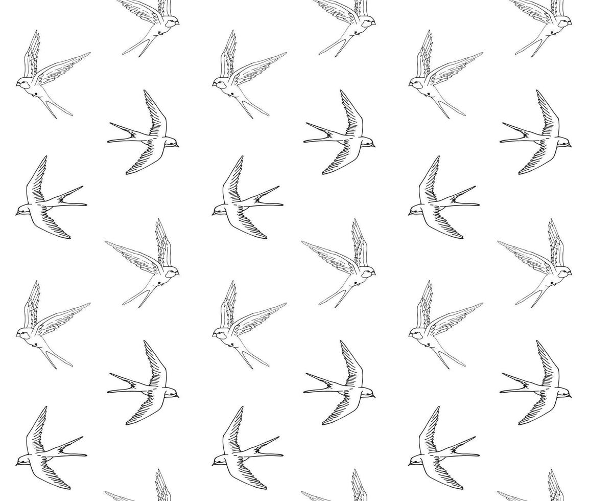Seamless pattern of swallows vector
