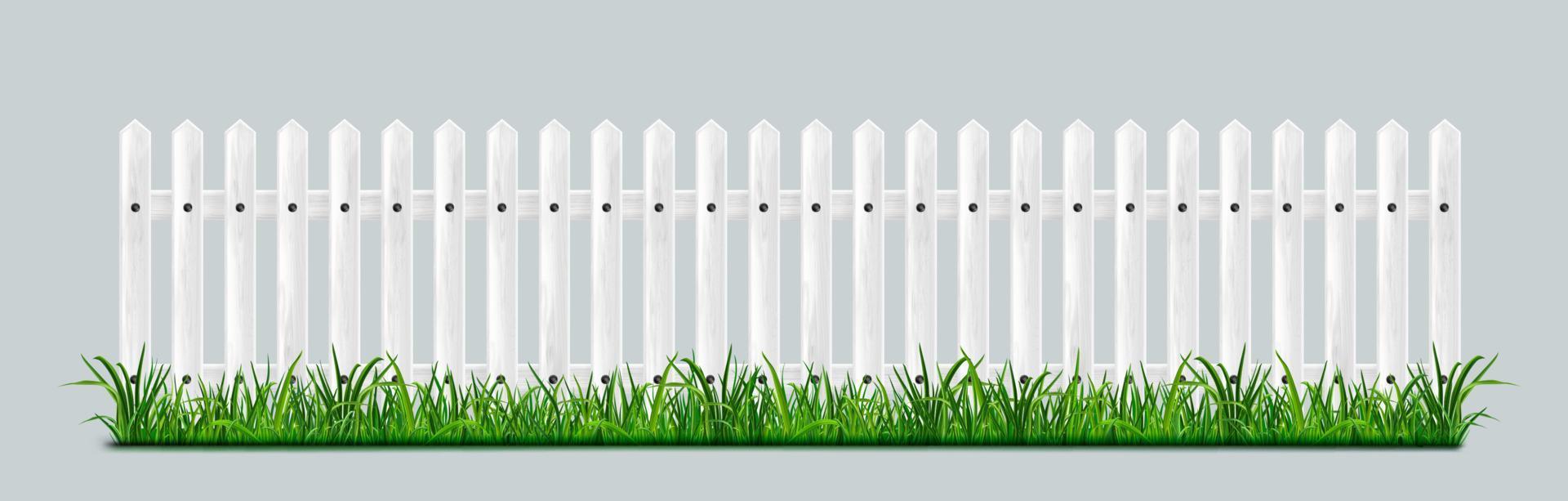 White wooden picket fence with green grass vector