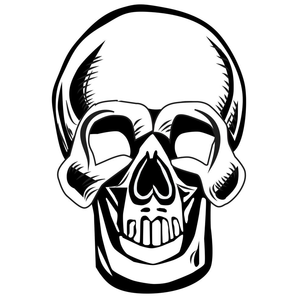 Skull Vector Illustration 13133515 Vector Art At Vecteezy Skull Vector Illustration 13133515 Vector Art At Vecteezy
