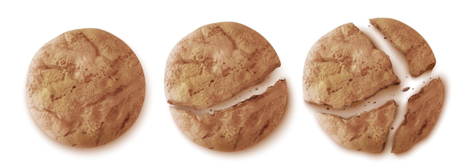Oatmeal cookies top view, whole or cracked biscuit vector