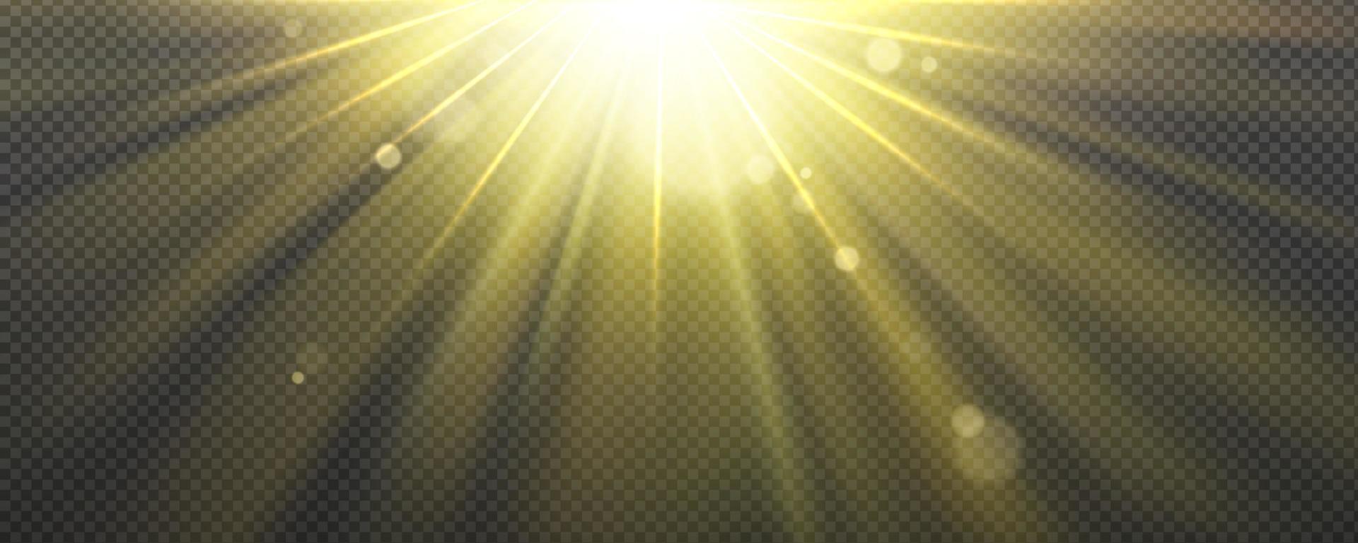 Sun light effect with yellow rays and lens glare vector
