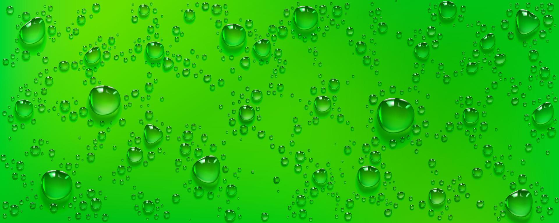 gotas de agua de condensación sobre fondo verde, lluvia vector