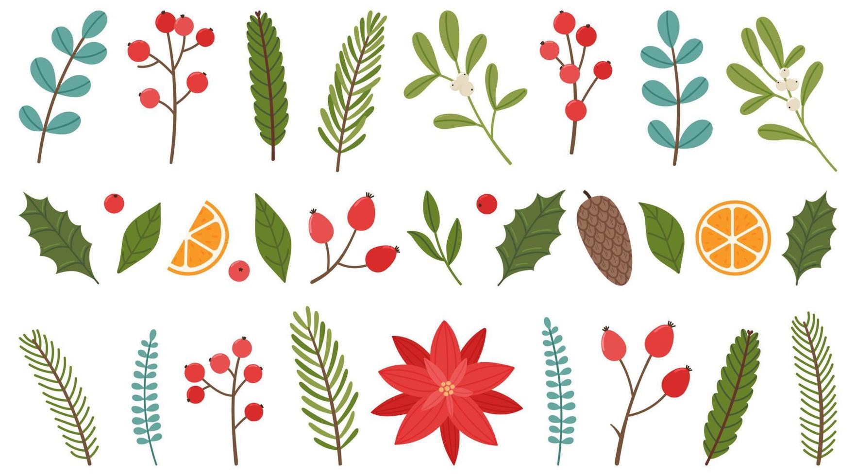 conjunto de elementos de plantas navideñas. bayas navideñas, hojas, ramitas, flores. ilustración vectorial aislado sobre fondo blanco vector