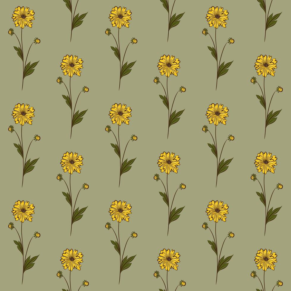 fondo transparente de vector de oliva con flores silvestres amarillas de rudbeckia