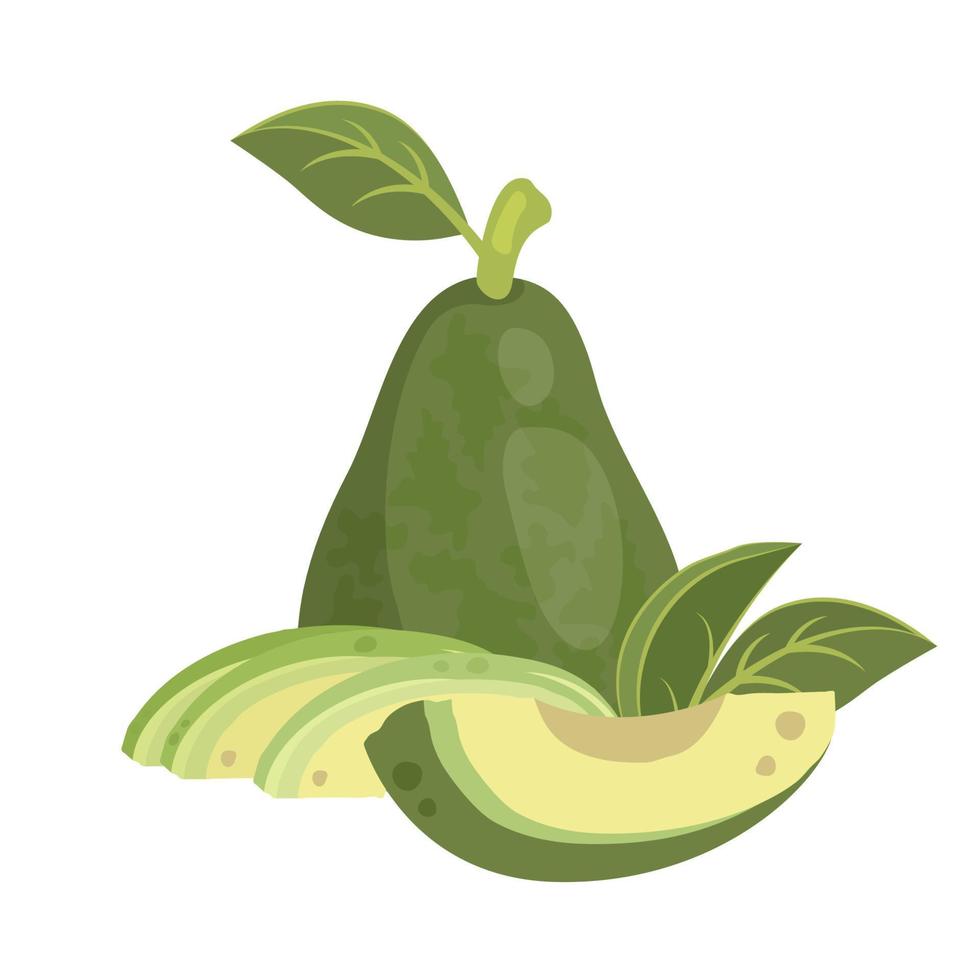 Set of whole avocado in peel with leaves and sliced avocado with flesh. Ripe avocado fruit. Healthy vegetarian organic food. Vector illustration for healthy lifestyle and good nutrition