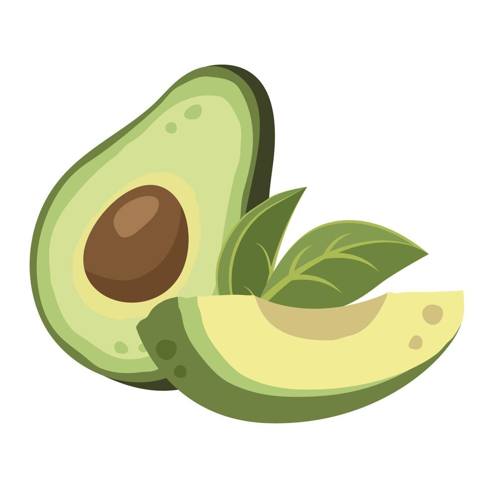 Half an avocado with pit, flesh and sliced avocado. Ripe avocado fruit. Healthy vegetarian organic food. Vector illustration for healthy lifestyle and good nutrition