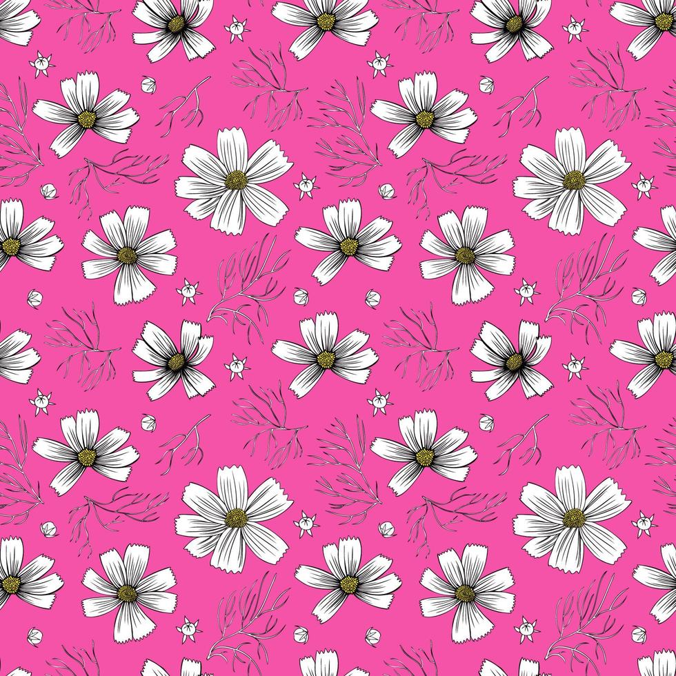 Seamless floral pattern,Kosmos flower, Kosmeya hand drawn illustration, wild flower astra isolated on pink backround, decorative backdrop design for greeting card, wedding invitation, cosmetic vector