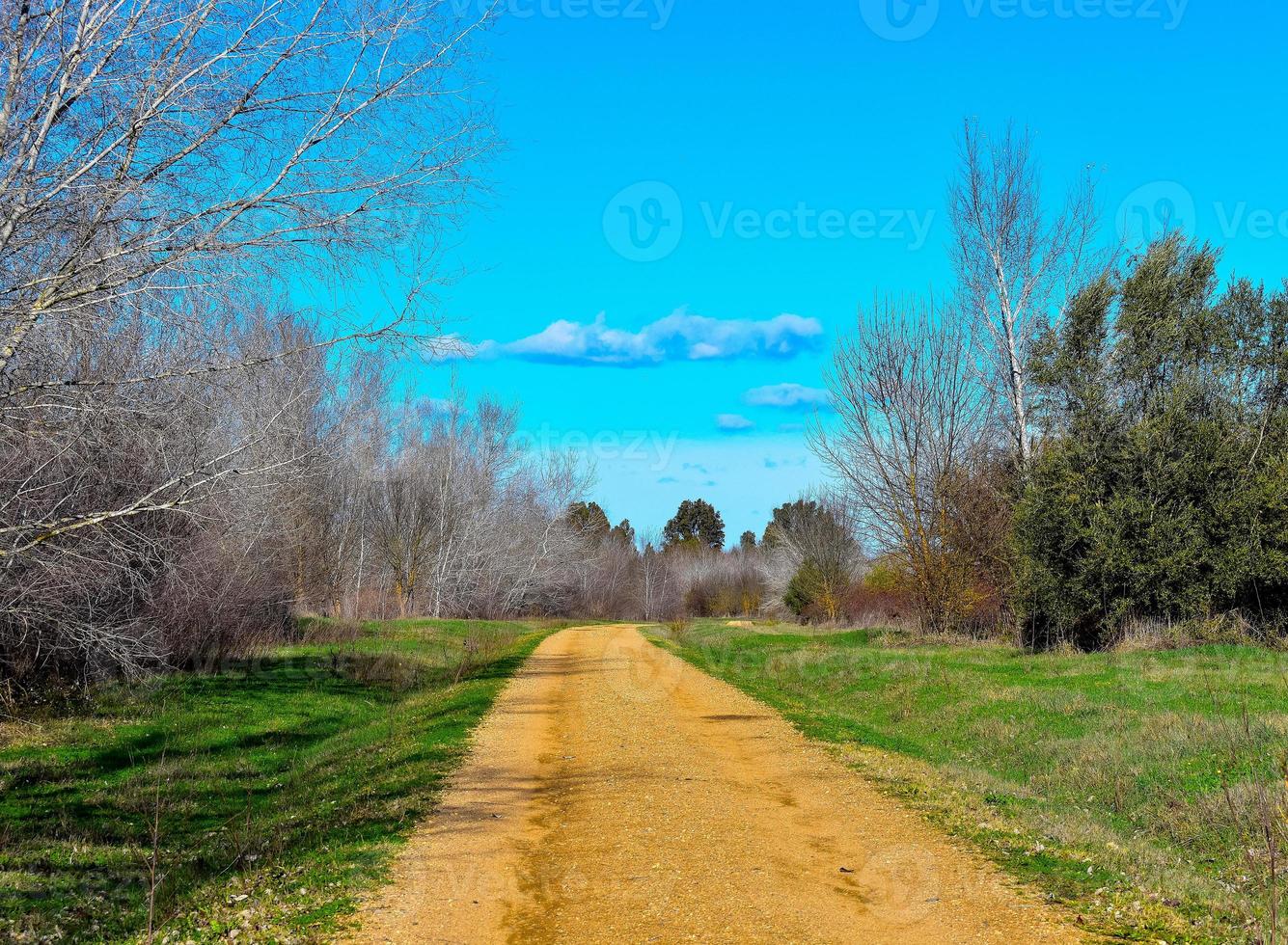 Path Landscape Photography photo