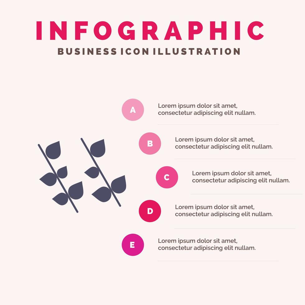 ecología hoja naturaleza primavera sólido icono infografía 5 pasos presentación antecedentes vector