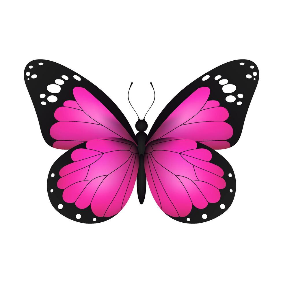 Pink realistic flying monarch butterfly on a white background. Vector illustration. Decorative print design. Colorful fairy wings.