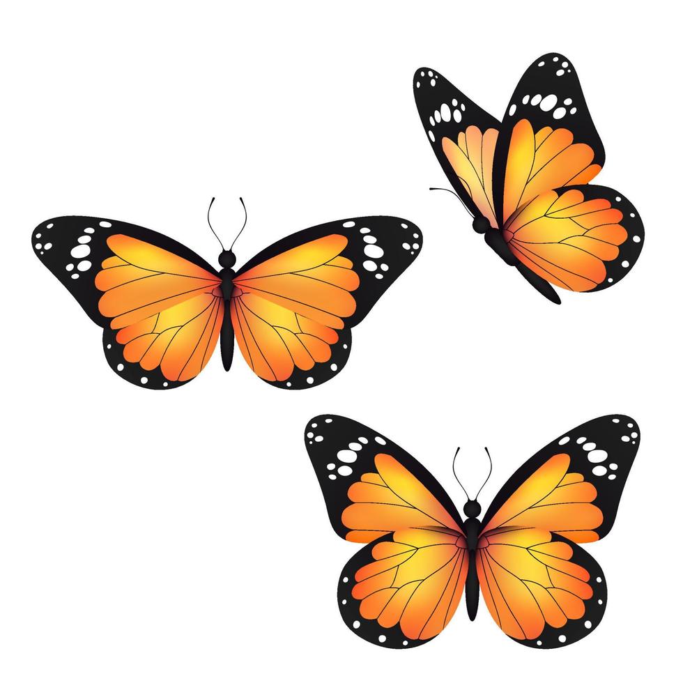 mariposa monarca voladora realista amarilla sobre un fondo blanco. ilustración vectorial diseño de impresión decorativa. alas de hadas de colores. vector