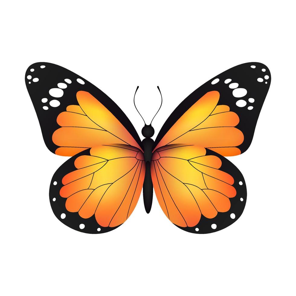Yellow realistic flying monarch butterfly on a white background. Vector illustration. Decorative print design. Colorful fairy wings.