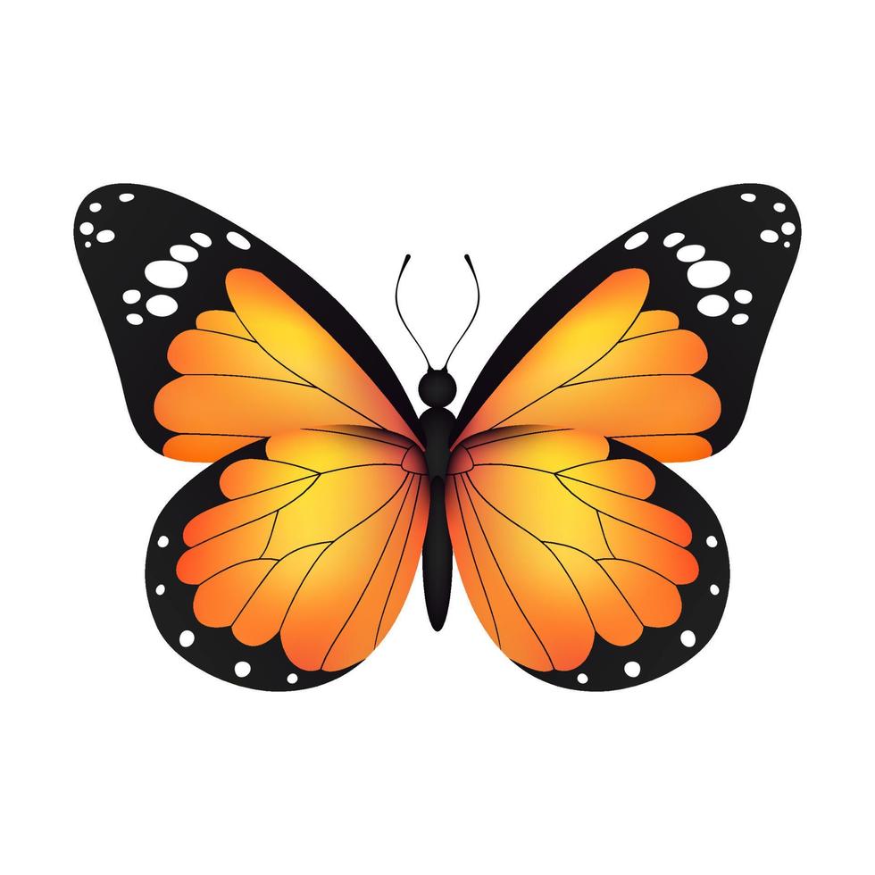 Yellow realistic flying monarch butterfly on a white background. Vector illustration. Decorative print design. Colorful fairy wings.